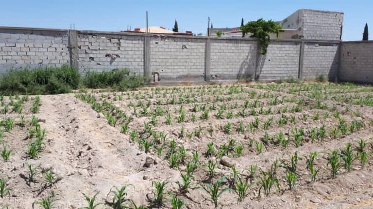 أرض على طريق مطار دمشق الجسر السابع